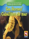 Sea Horses/Caballitos de mar